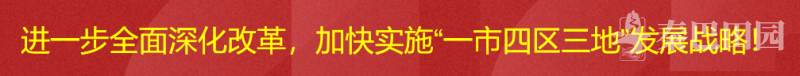 进一步全面深化改革,加快实施“一市四区三地”发展战略!